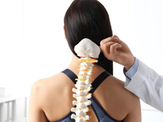 A doctor shows spinal structure on a patient.