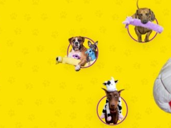 Ad for plush dog toys with a small dog and stuffed animals