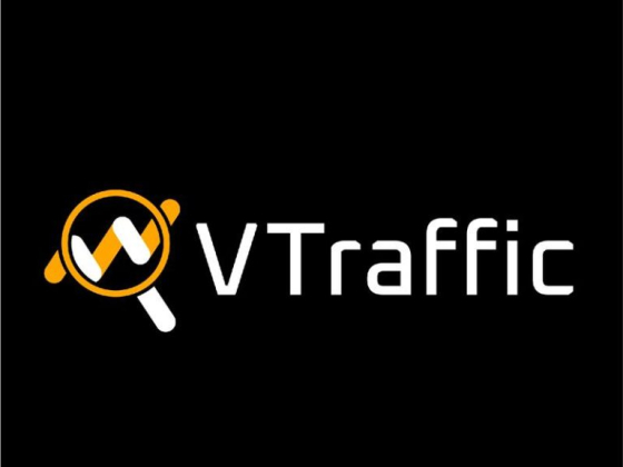 Real Human Website Traffic