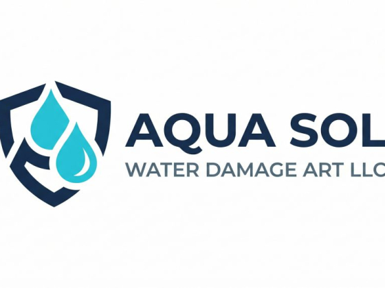 Aqua Sol Water Damage Art LLC