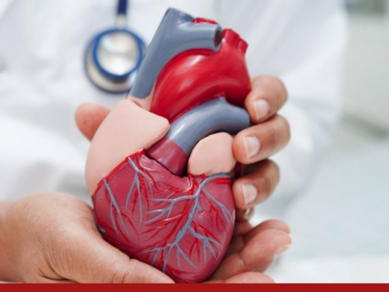 Low Cost Cardiac Surgery India