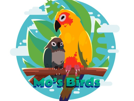 Mo's Birds