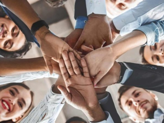 Diverse team unites with hands together in unity circle