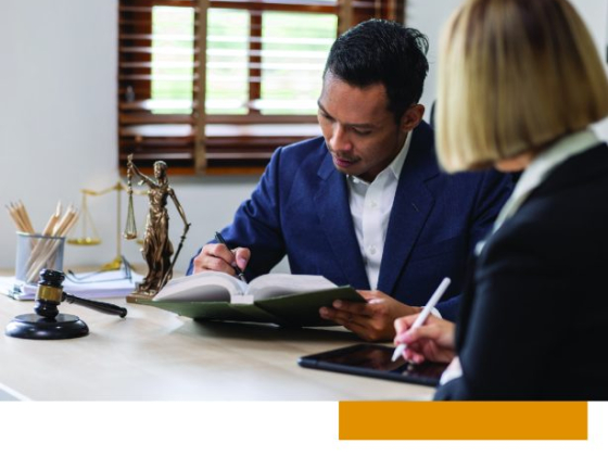 Legal consultation featuring lawyer and client interaction