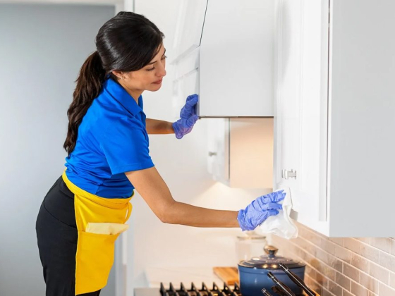 The Maids in Boca Raton and South Delray