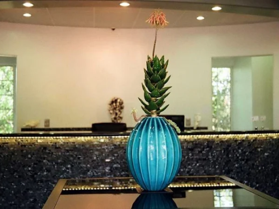 Elegant decoration in contemporary setting