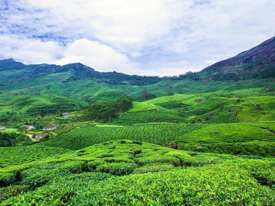 Quick Kerala Holidays – Discover the Beauty of Kerala Tourism Destinations