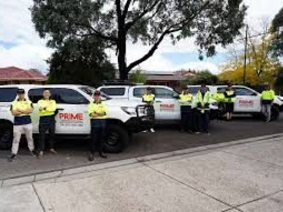 Prime Land Consultants - Land Surveyors