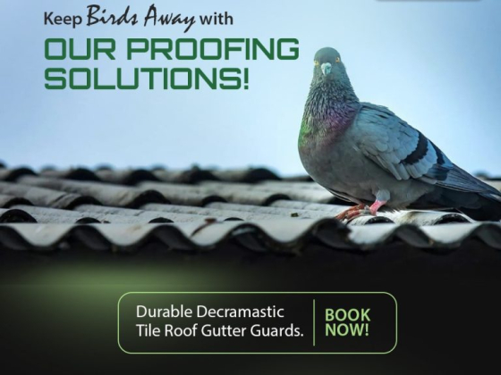 Guardian Gutter Guard offers bird proofing solutions