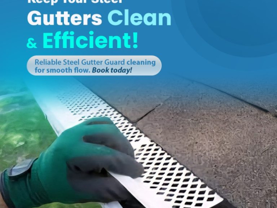 Ad promoting Guardian Gutter Guard cleaning services