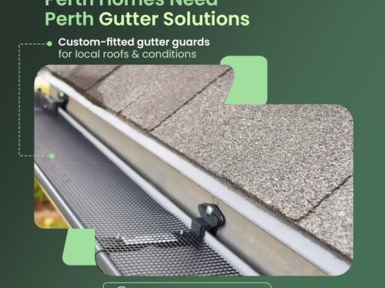 Promotional ad for Perth gutter solutions.