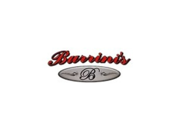 Burrini's & Sons Contracting LLC
