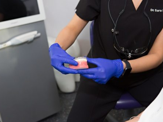 Dentist demonstrates a dental model in a clinic setting.