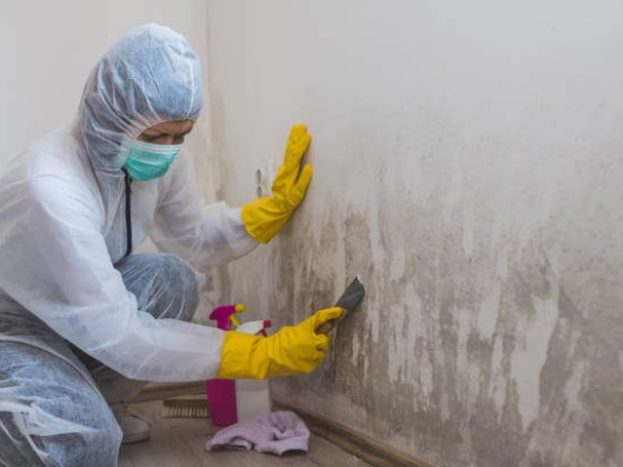 Ghost Power Washing