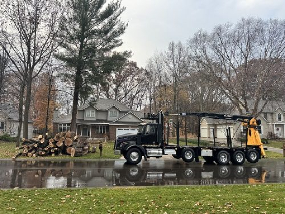 Logging truck beside cut tree logs in suburban area