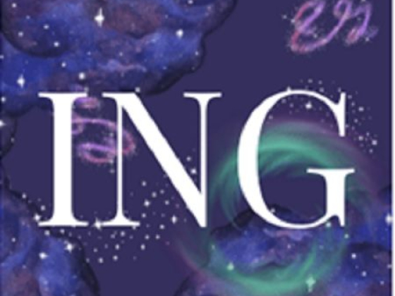 ING Design LTD