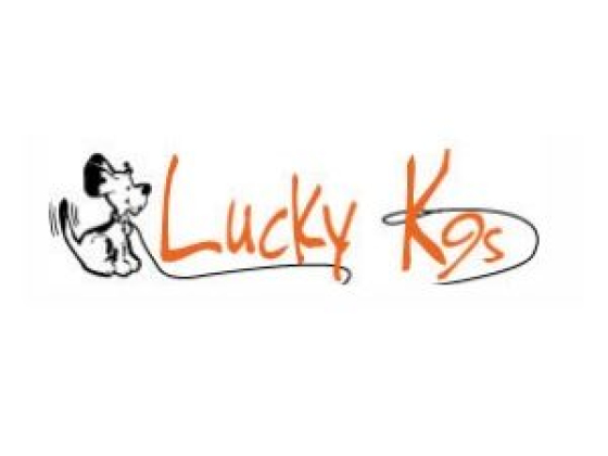 obedience training and boarding sherman oaks