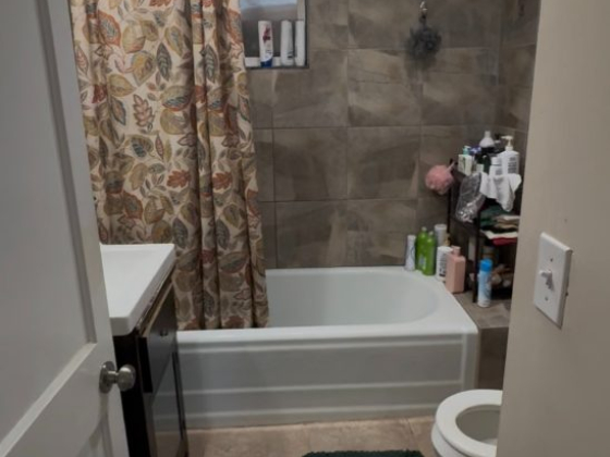Tidy bathroom showing bath and grooming supplies