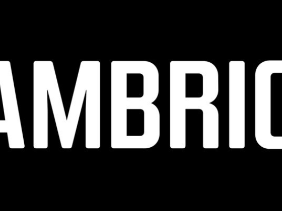 BAMBRICK®️ - Brisbane SEO & Digital Marketing Agency