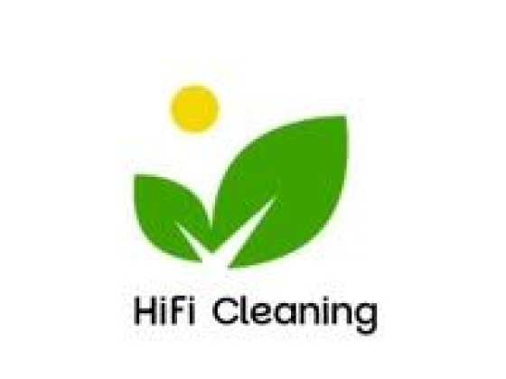 Logo with leaves and sun for HiFi Cleaning company