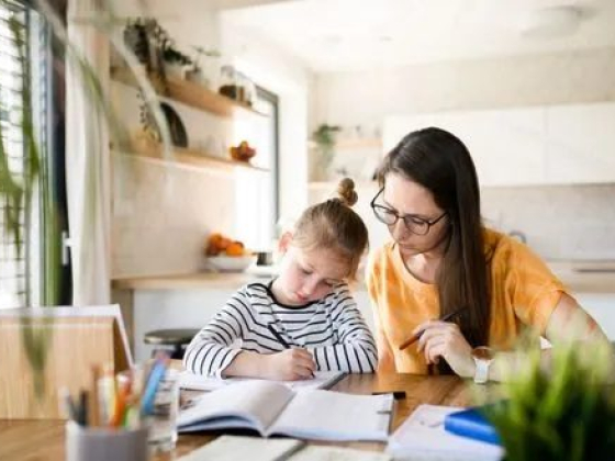 Blooming Brains Educational Psychology