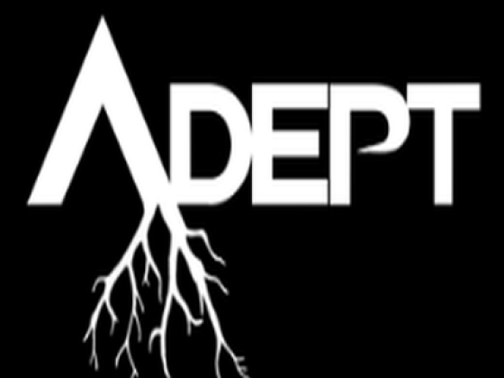 Adept landscape & Construction INC