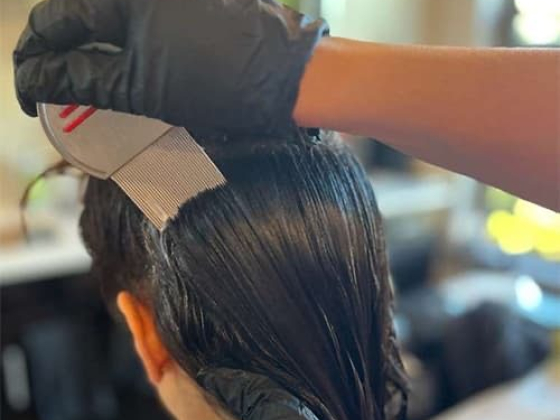 Lice Free Noggins Lice Treatment & Nit Removal - New Jersey
