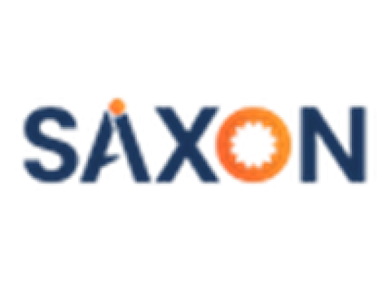 Saxon AI - Enterprise AI partner