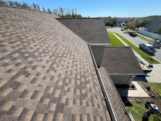 Fiddler's Roofing