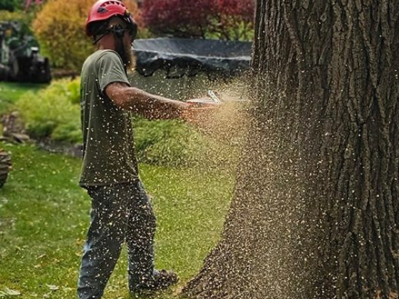 Otto Tree Service LLC