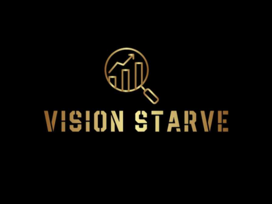 Vision Starve - Website Designing Company in Laxmi Nagar, Delhi