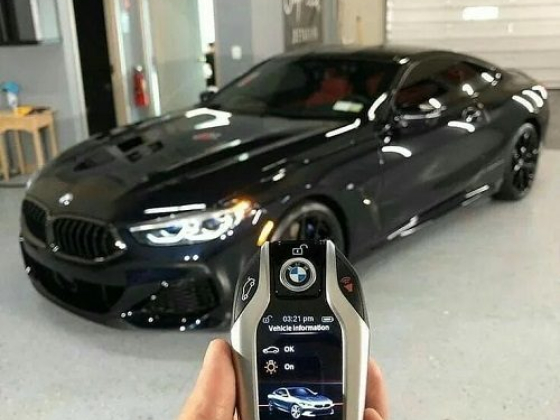 Flying Dragon Car key