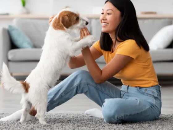 Woman and dog bonding on rug indoors