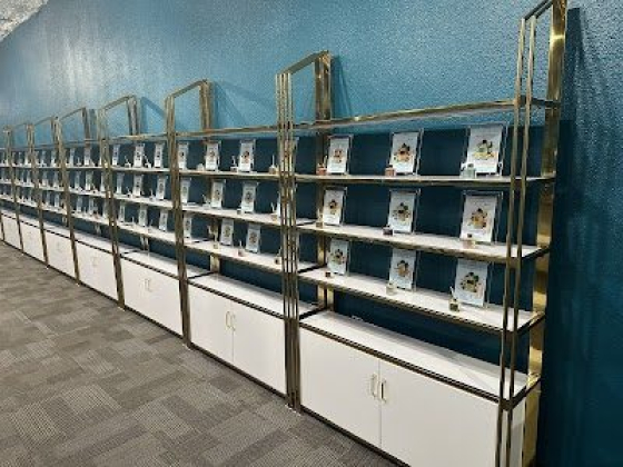 Books displayed on organized gold-framed shelves against a blue wall
