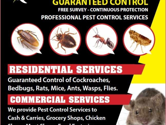 Ad for residential and commercial pest control services