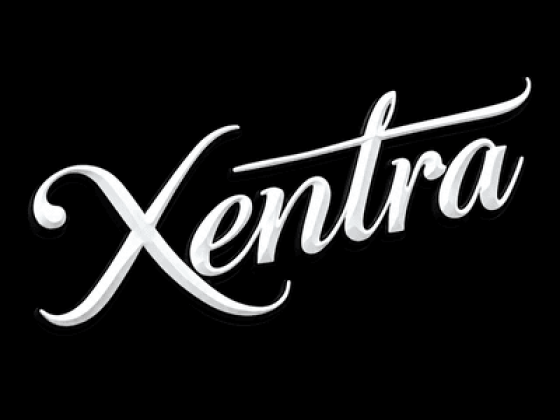 Xentra Auto - Mobile Detailing