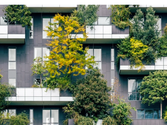 Green plants adorn balconies of urban buildings