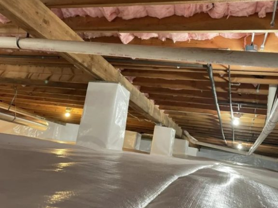 Brincefield Crawlspace Solutions