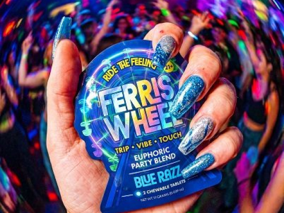 Ferris Wheel