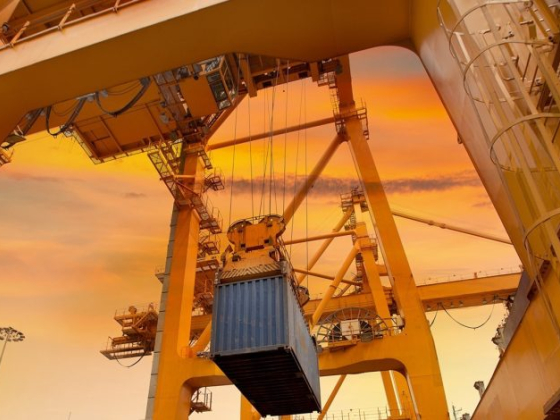 RADHA CRANES
