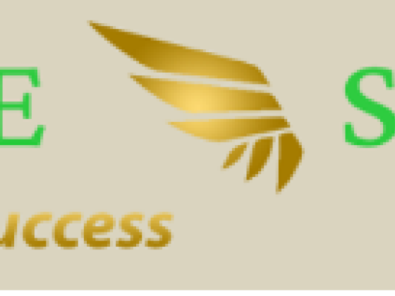 Profitable Solutions, Inc.
