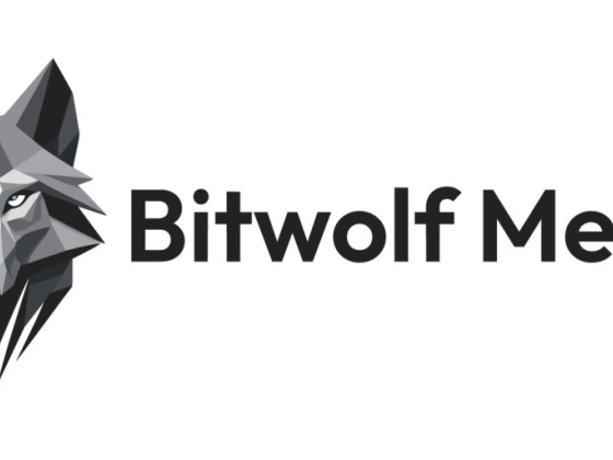 Bitwolf Media