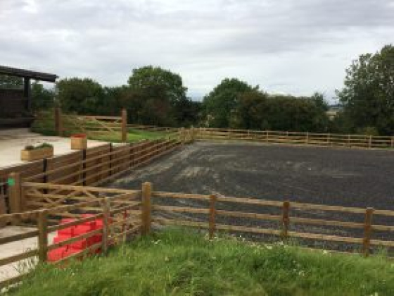 Fenced equestrian riding area surrounded by trees