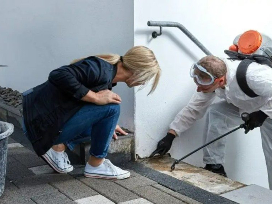 Woman observing pest control worker spraying chemicals