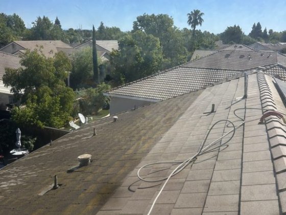 Buddy Bright Pressure Washing & Roof Cleaning