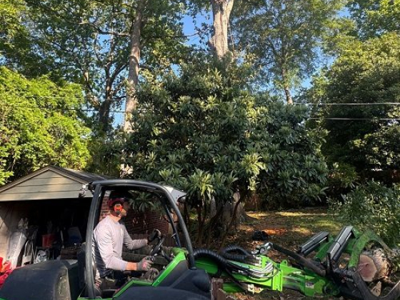 Worker uses machinery for garden work in a sunny backyard