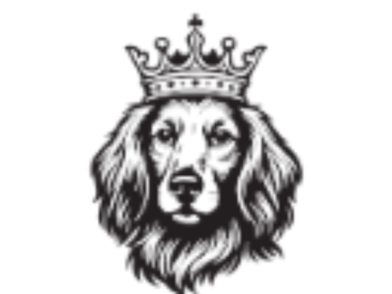 Tudor Energy LLC