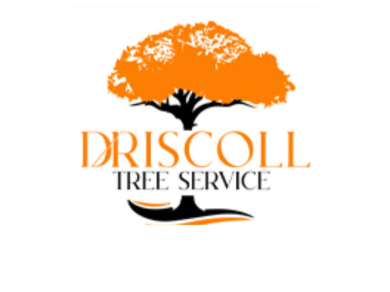 Driscoll Tree Service