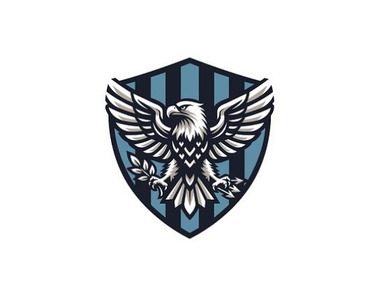 Liberty Vigilance Protection LLC