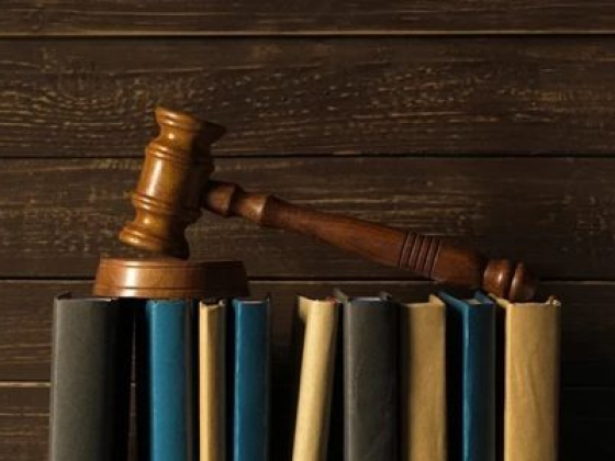 Judge's gavel on books against wooden background